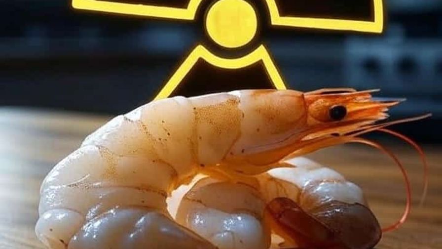 NH #740: Walmart Radioactive Shrimp Recall - FFAN's Kimberly Roberson + San Onofre RadWaste Storage Battle Heats Up - Gary Headrick