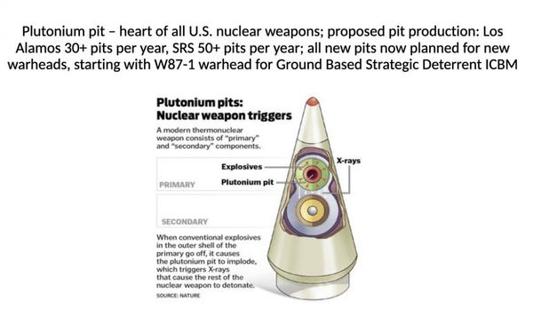 NH #545: Plutonium Pits Lawsuit re: Savannah River Site in South Carolina, Los Alamos in New Mexico