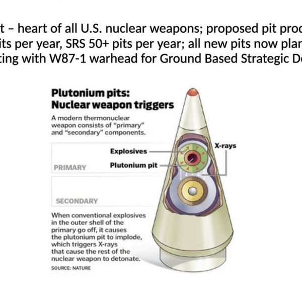 NH #545: Plutonium Pits Lawsuit re: Savannah River Site in South Carolina, Los Alamos in New Mexico