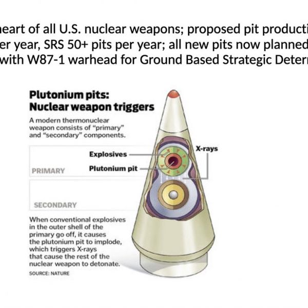 NH #545: Plutonium Pits Lawsuit re: Savannah River Site in South Carolina, Los Alamos in New Mexico