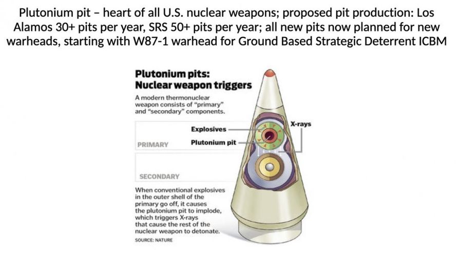 NH #545: Plutonium Pits Lawsuit re: Savannah River Site in South Carolina, Los Alamos in New Mexico