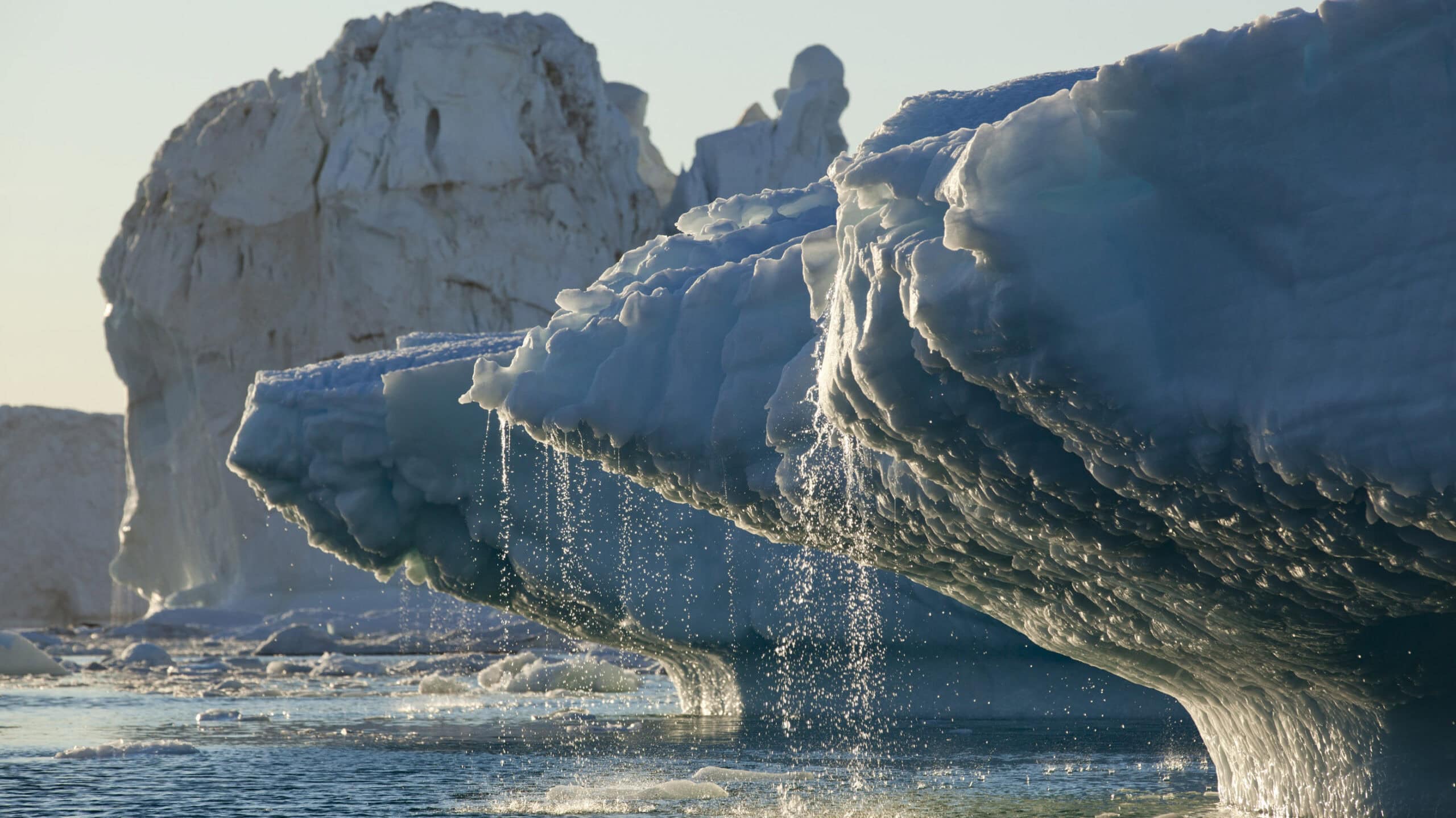 NH #691: Arctic Ice Melt &amp; Nuclear Radiation Dangers: UK Marine Biologist Tim Deere-Jones