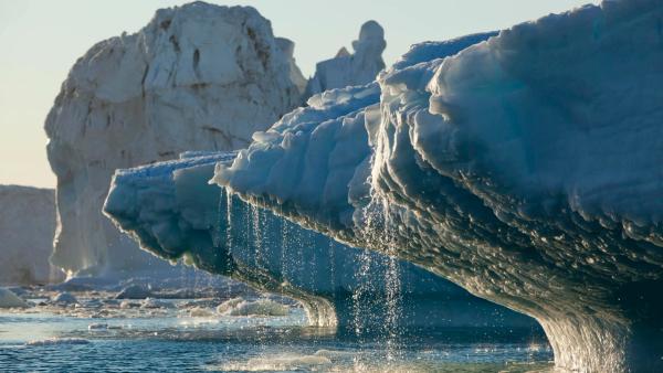 NH #691: Arctic Ice Melt &amp; Nuclear Radiation Dangers: UK Marine Biologist Tim Deere-Jones