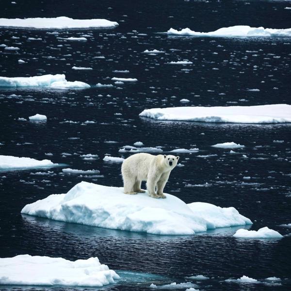 NH #777: Arctic Ice Melt & Nuclear Radiation Dangers: UK Marine Biologist Tim Deere-Jones