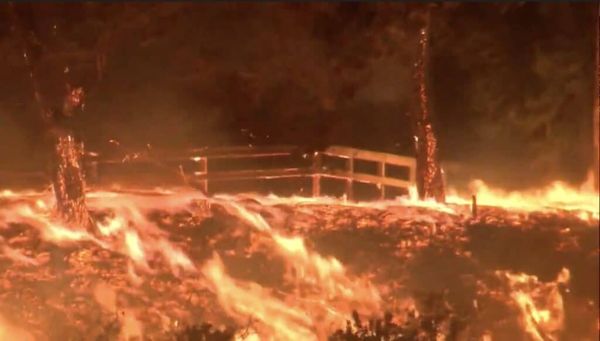 NH #707:   SPECIAL: NUKES AND FIRE - California Wildfires and Nuclear Dangers