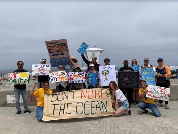 NH #335: "Chernobyl Disaster in a Can" - 73 Vulnerable-To-Cracking Radioactive Waste Canisters Set for CA Ocean-Front Burial at San Onofre:  Donna Gilmore