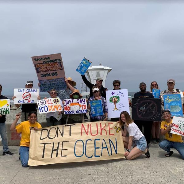 NH #335: "Chernobyl Disaster in a Can" - 73 Vulnerable-To-Cracking Radioactive Waste Canisters Set for CA Ocean-Front Burial at San Onofre: Donna Gilmore
