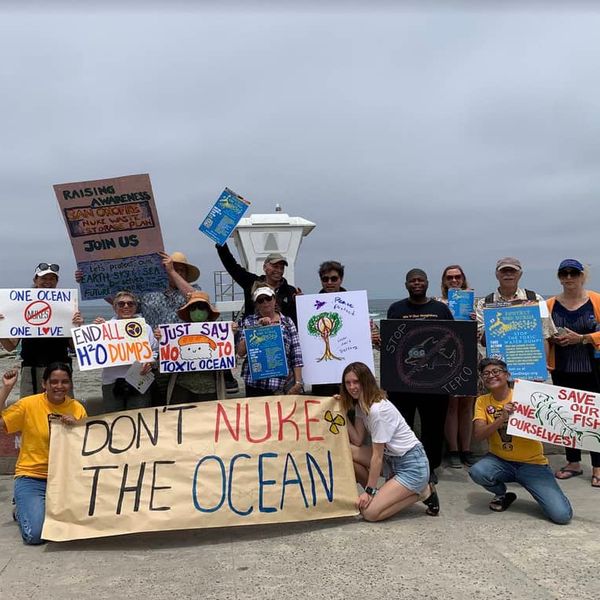 NH #335: "Chernobyl Disaster in a Can" - 73 Vulnerable-To-Cracking Radioactive Waste Canisters Set for CA Ocean-Front Burial at San Onofre: Donna Gilmore