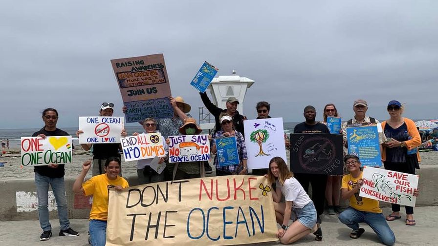 NH #335: "Chernobyl Disaster in a Can" - 73 Vulnerable-To-Cracking Radioactive Waste Canisters Set for CA Ocean-Front Burial at San Onofre: Donna Gilmore