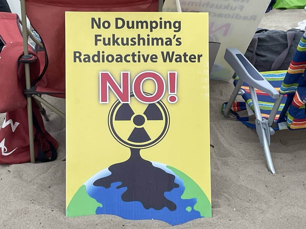 NH #639: Activist Insiders on Diablo Canyon Embrittlement & Palisades Nuclear Restart - Harvey Wasserman, Linda Seeley, Kevin Kamps