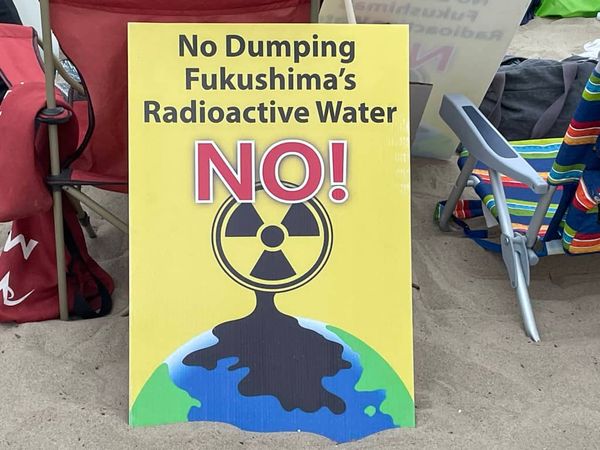 NH #639: Activist Insiders on Diablo Canyon Embrittlement & Palisades Nuclear Restart - Harvey Wasserman, Linda Seeley, Kevin Kamps