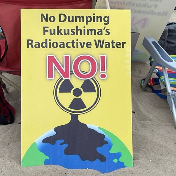 NH #639: Activist Insiders on Diablo Canyon Embrittlement & Palisades Nuclear Restart - Harvey Wasserman, Linda Seeley, Kevin Kamps