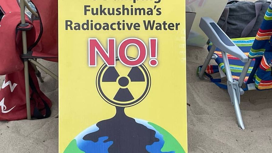 NH #639: Activist Insiders on Diablo Canyon Embrittlement & Palisades Nuclear Restart - Harvey Wasserman, Linda Seeley, Kevin Kamps