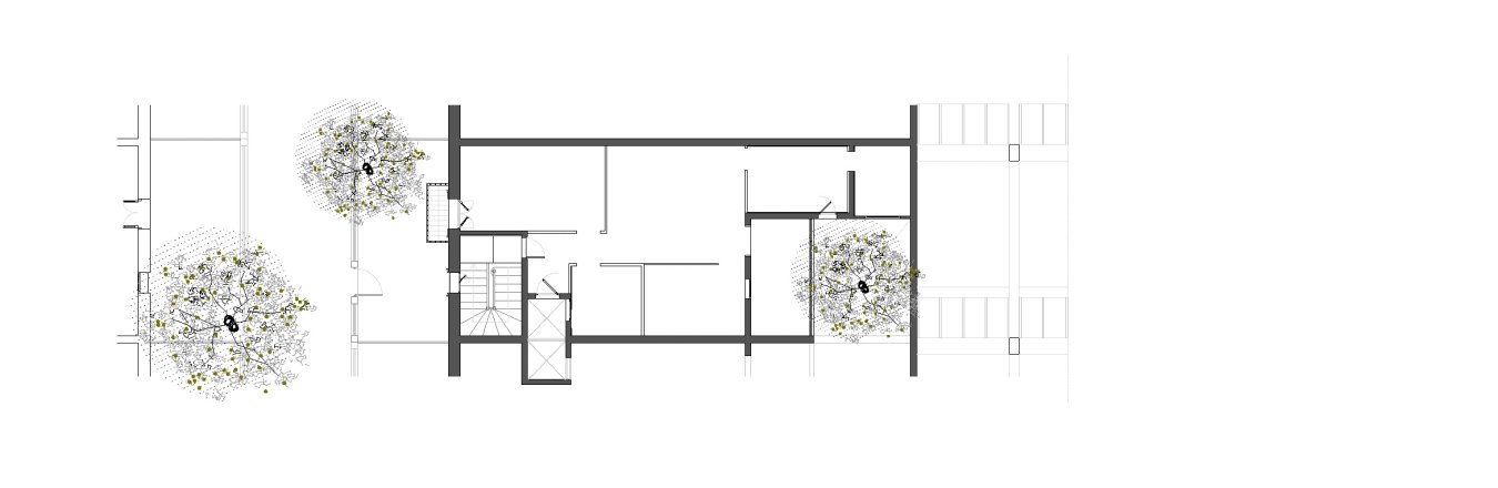TB15_03 Plantes EA copia