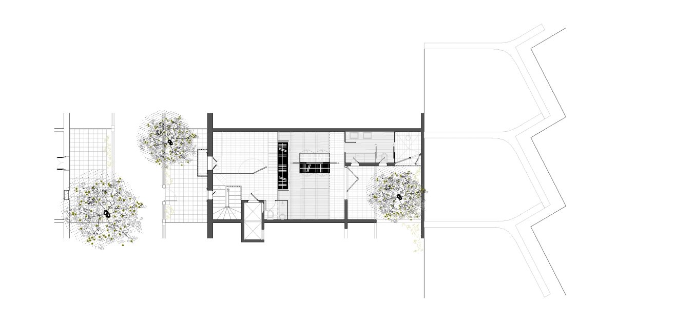 TB15_03 Plantes PR copia