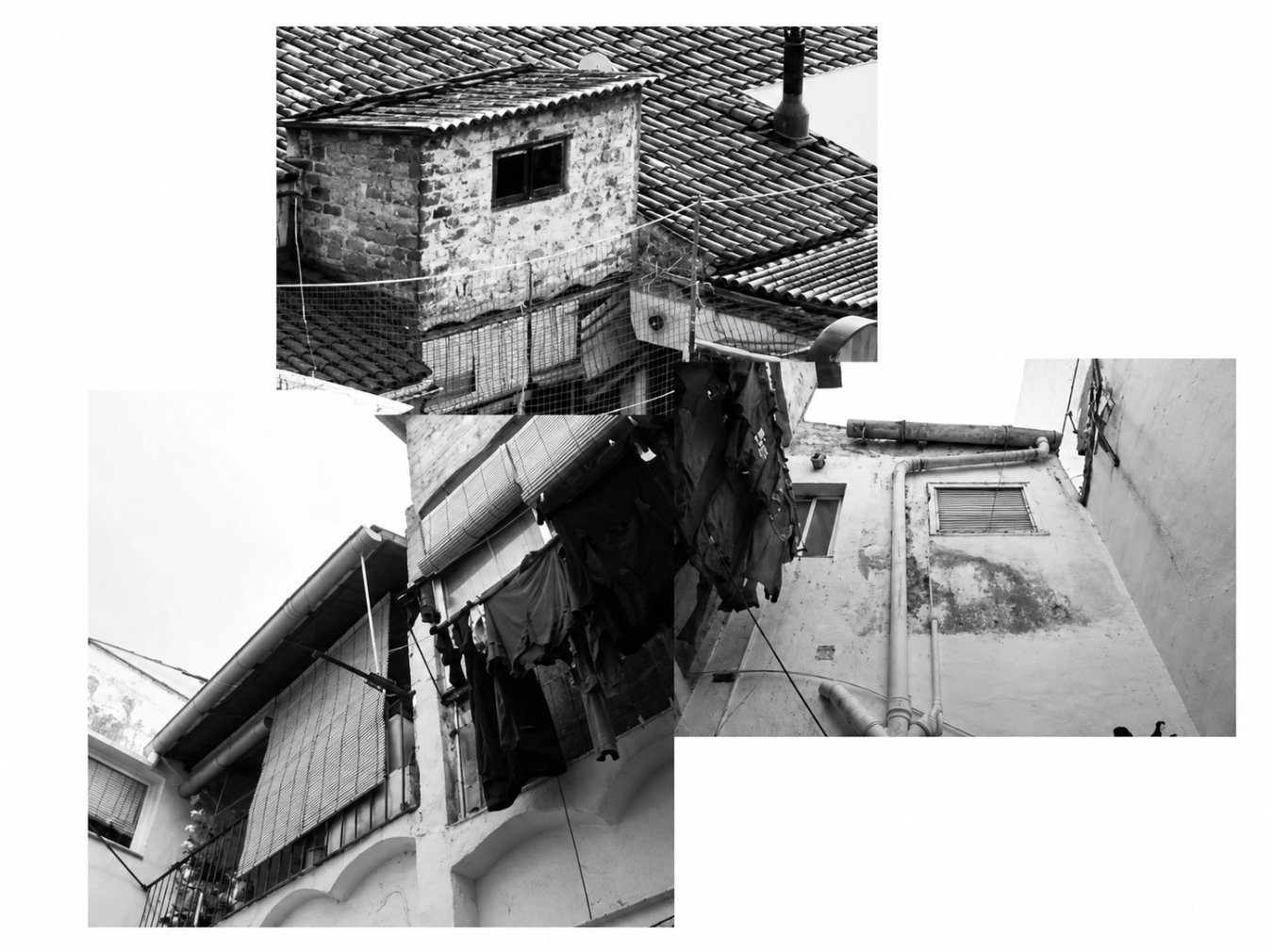 c5e1dd56-553e-4e3f-ba99-933308da74bf