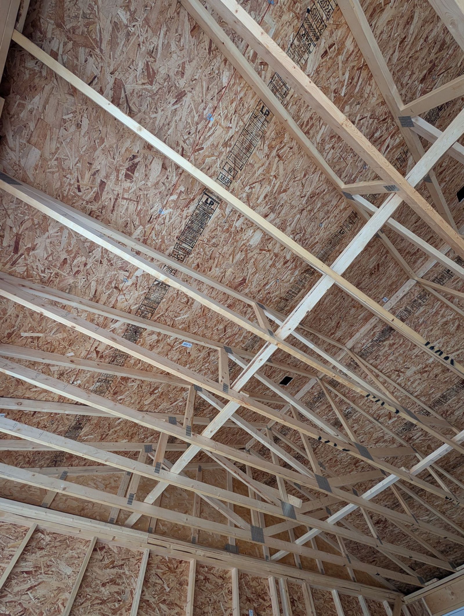 Engineered roof trusses at 24 inches on centre seen from inside, with the OSB sheathing above them