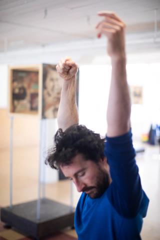 Charpente des fauves 01