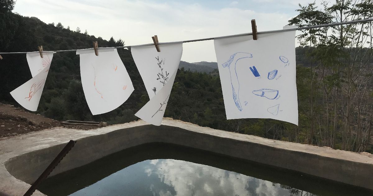 Open call: The Water Diviners workshop series