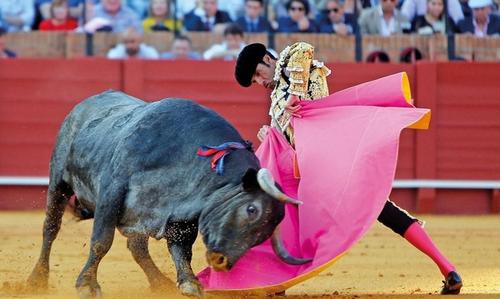 Corrida de toros