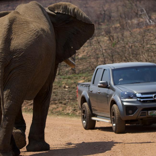 Operational Support for Foundations