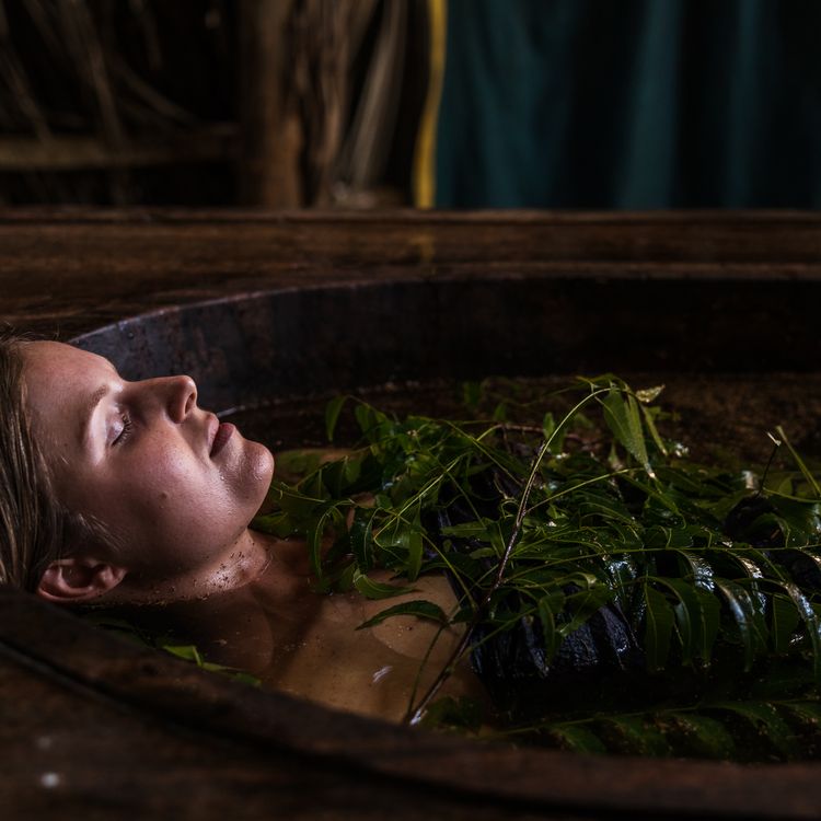 A Beginner’s Guide to Ayurveda: What It Is and Why It Works