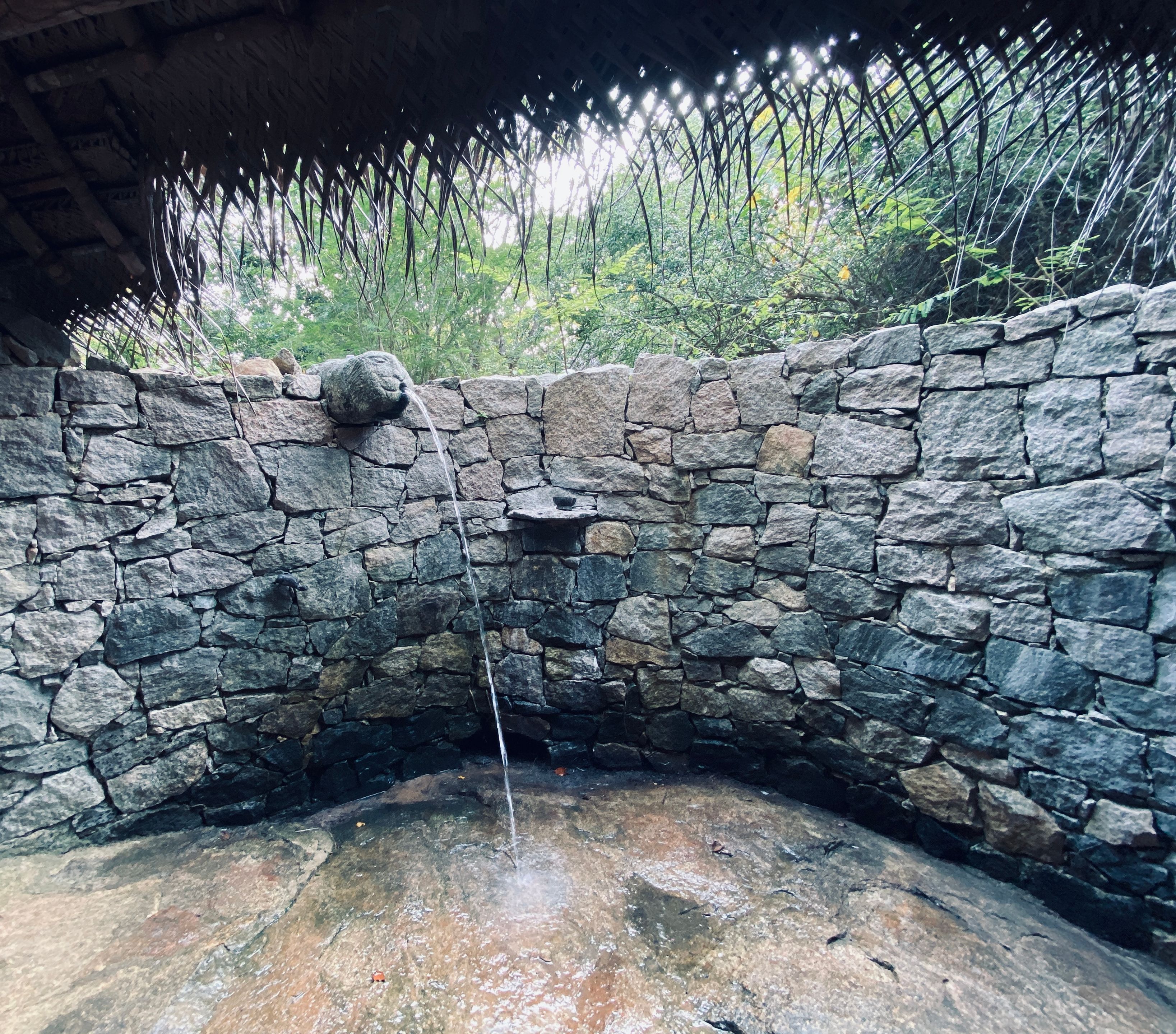 Hot Ayurvedic Shower