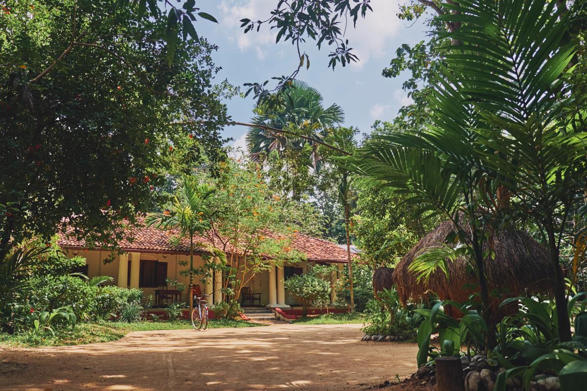 Approach to the Wallawa at Ulpotha