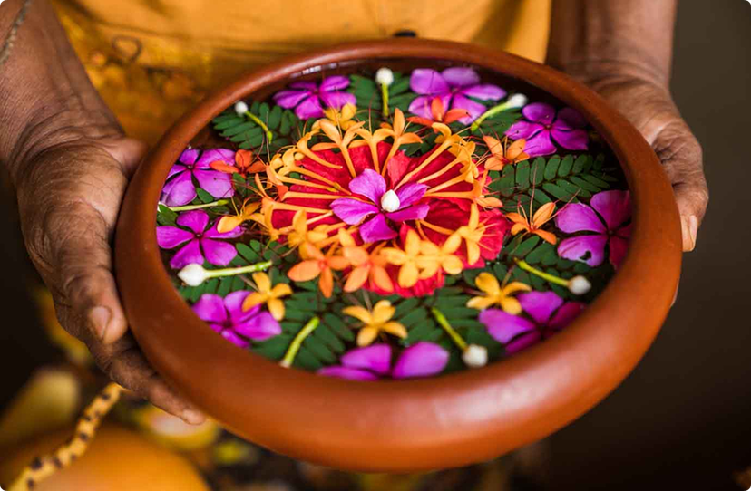 Ashtanga Yoga with Philippa Asher KPJAYI at Ulpotha