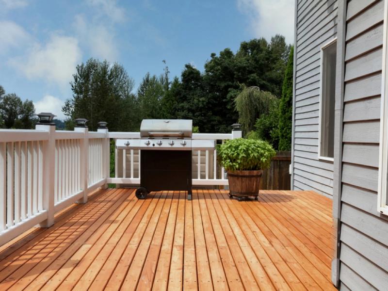 Cedar
