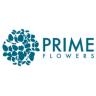 Logo de Prime Flowers
