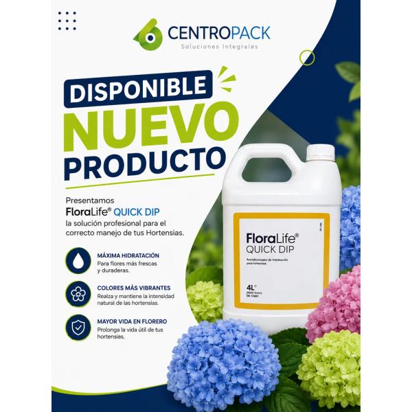 FloraLife Quick Dip acondicionador de hidratación para hortensias