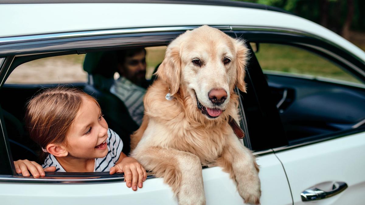 Ein Vater sitzt mit seinen zwei kleinen Kindern am Tisch und schaut gemeinsam mit ihnen auf ein Tablet. Das ältere Kind wirkt überrascht und begeistert.