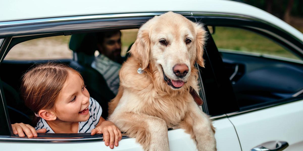 Ein Vater sitzt mit seinen zwei kleinen Kindern am Tisch und schaut gemeinsam mit ihnen auf ein Tablet. Das ältere Kind wirkt überrascht und begeistert.