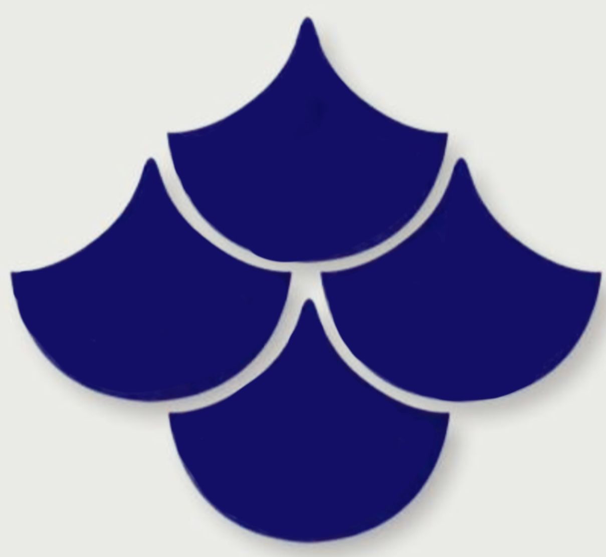 Scallop