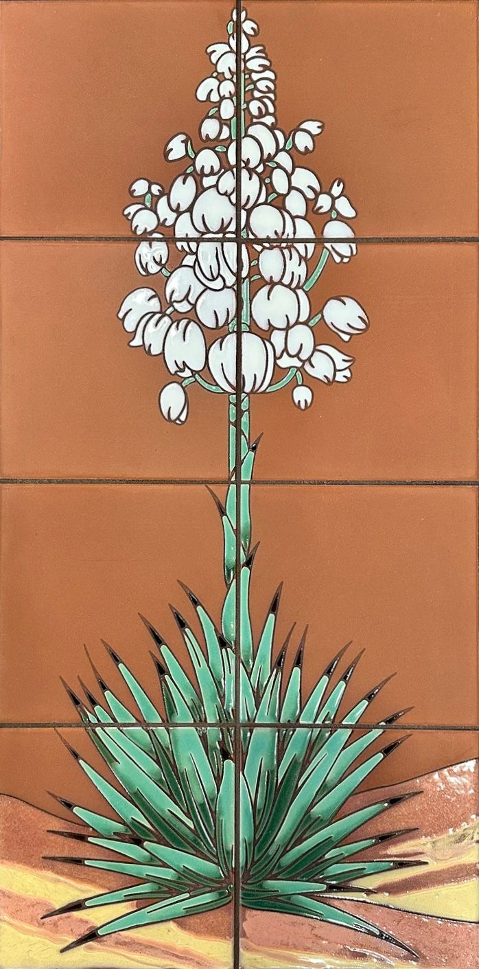 Yucca on TC