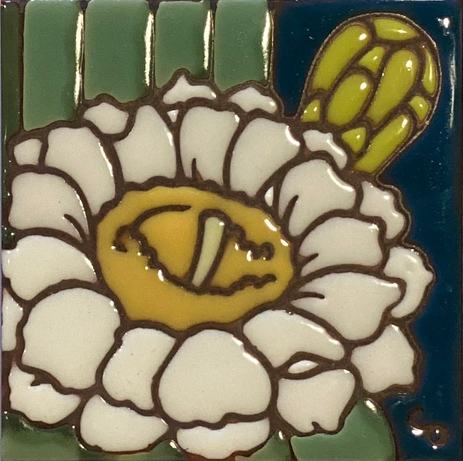 Saguaro Blossom 4”