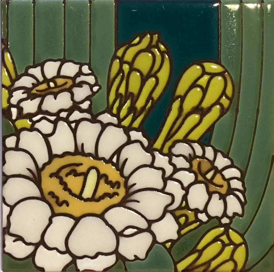 Saguaro Blossom 6”
