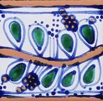 decorative_guia