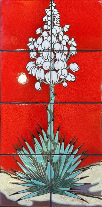 Yucca on Red