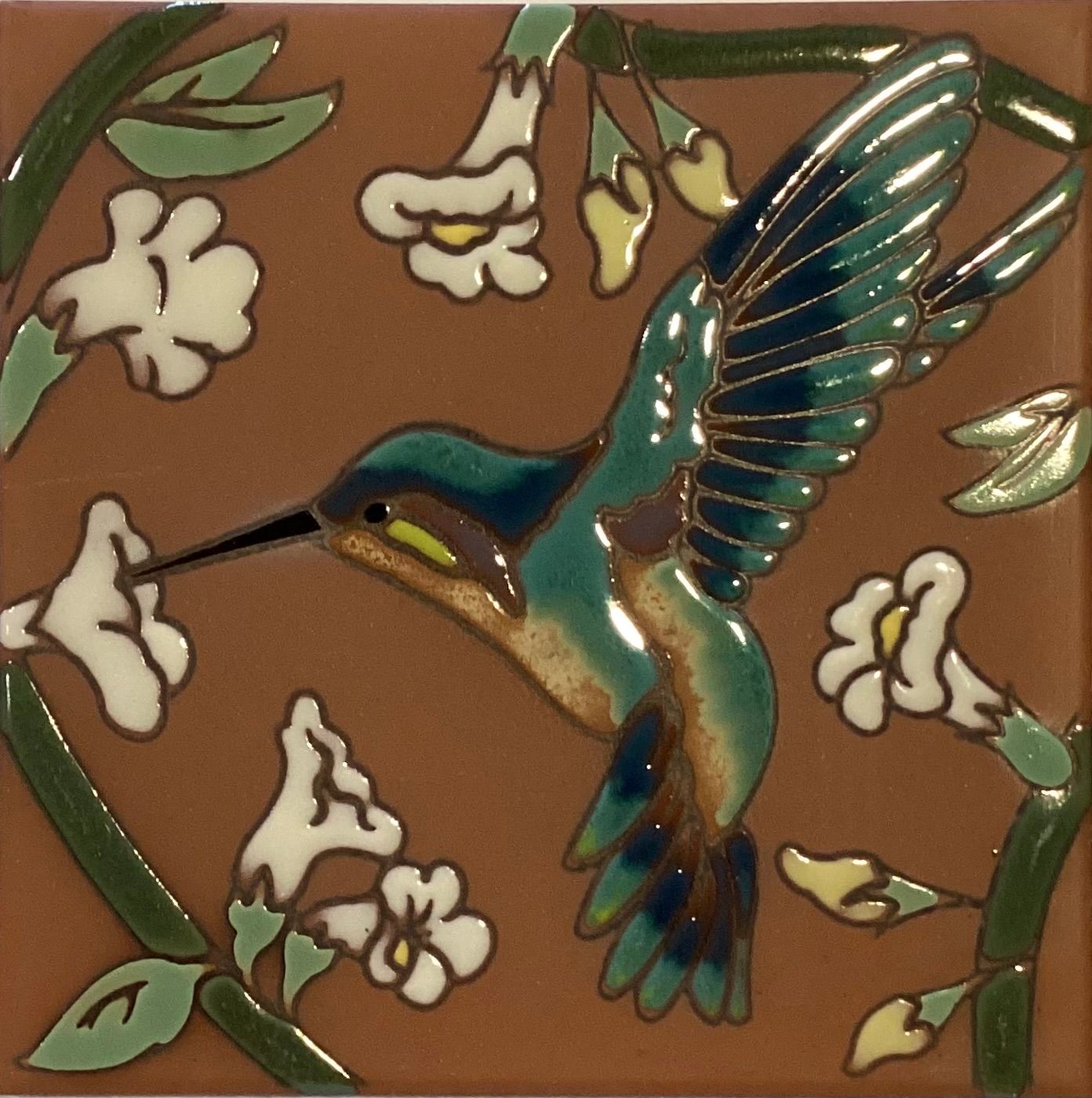 Abigail’s Hummingbird TC