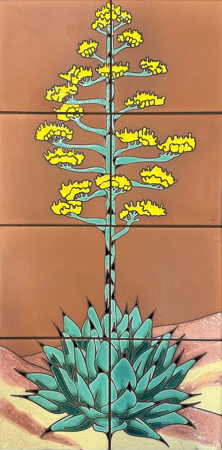 Century Plant on TC