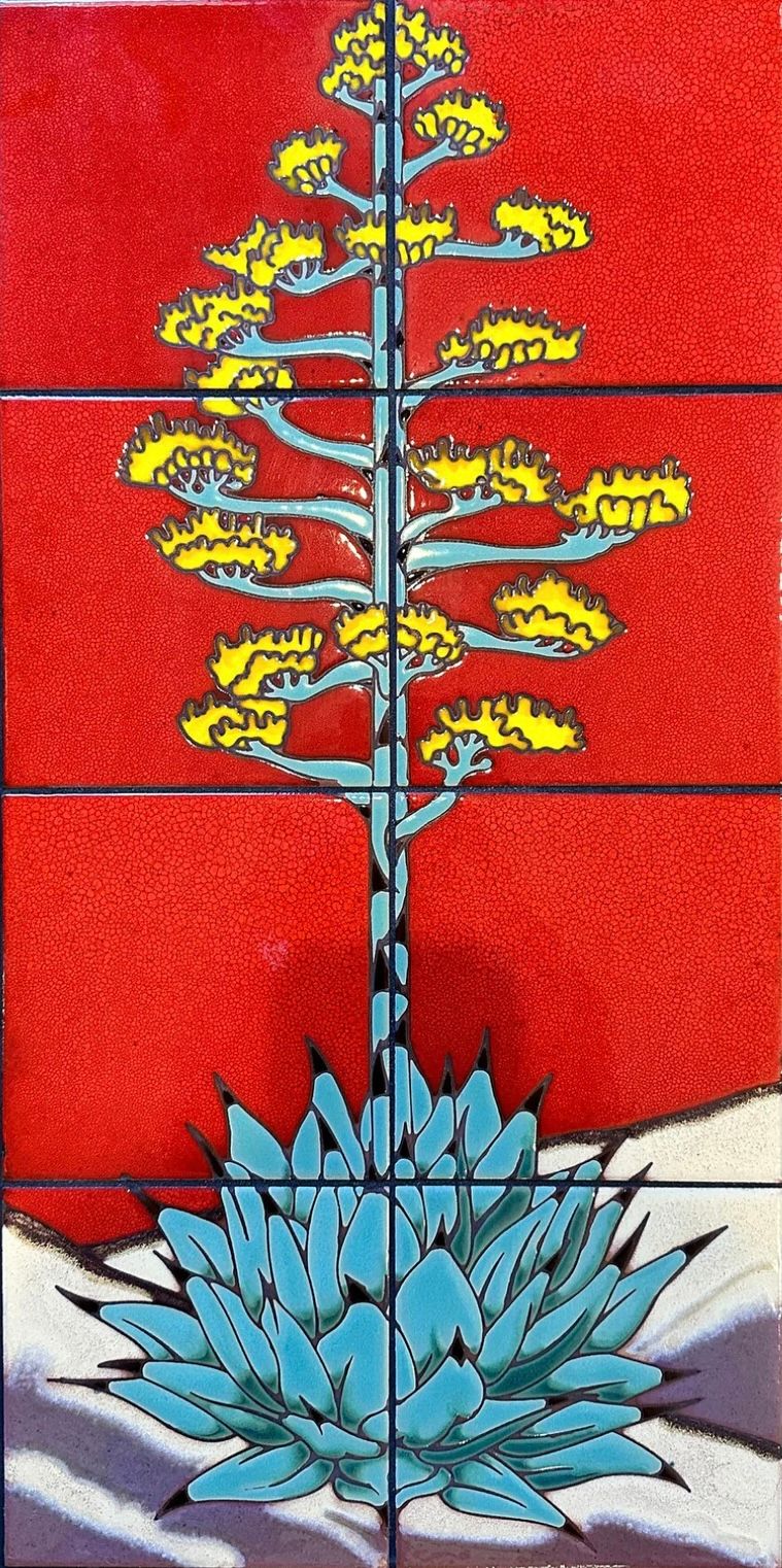 Century Plant on Red