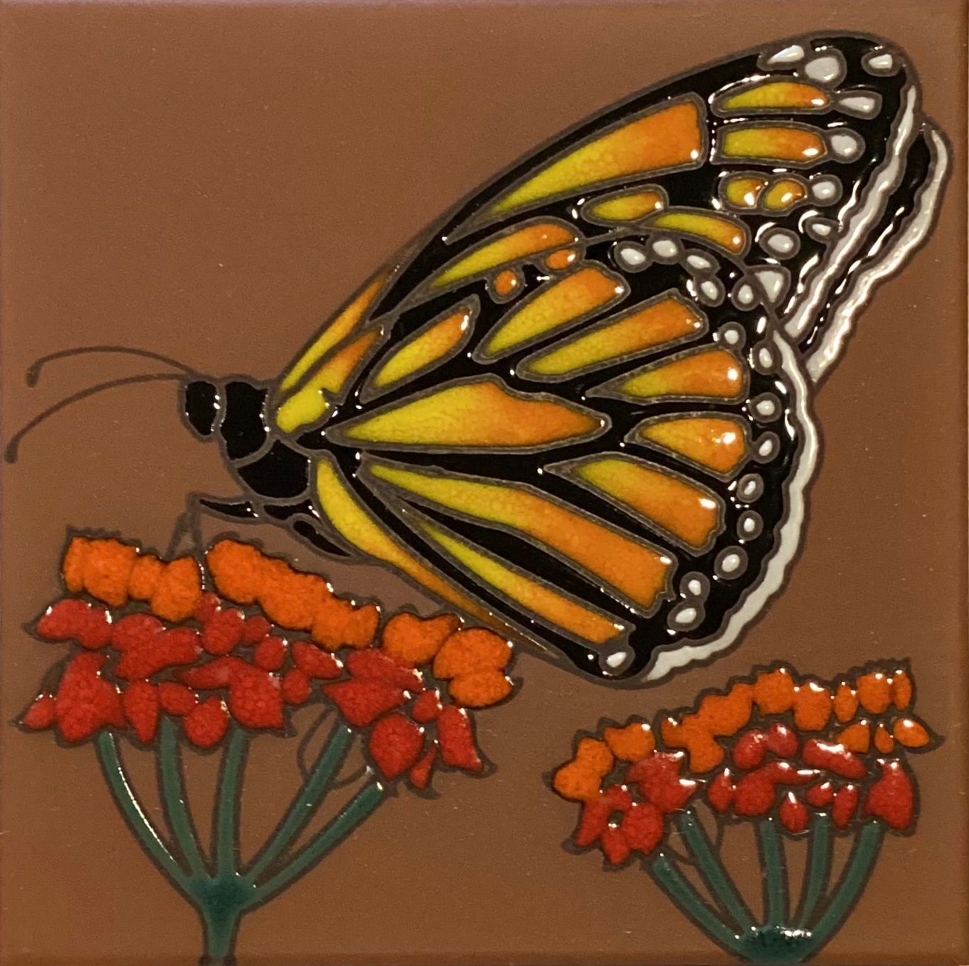 Ferme Butterfly TC