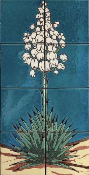 Yucca on Emerald