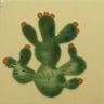 Nopal