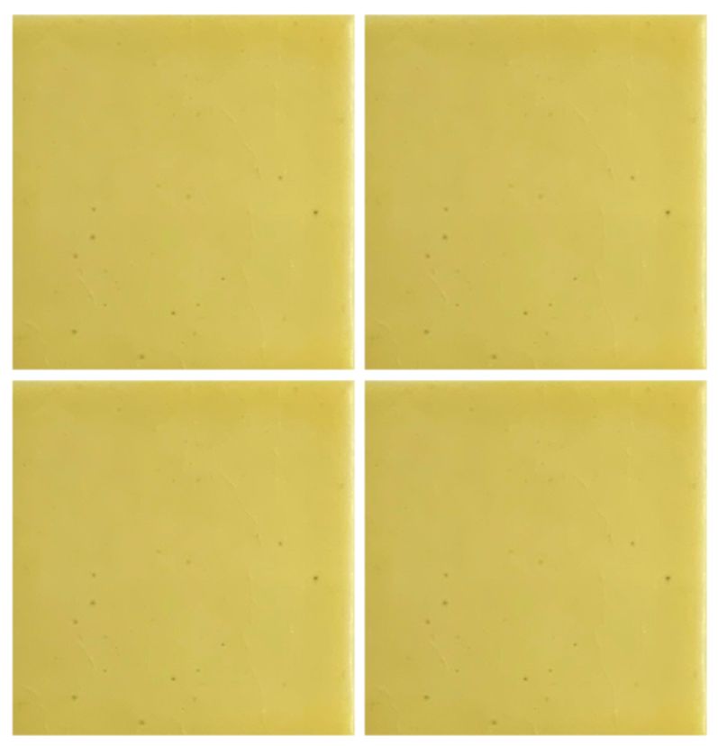 Maize