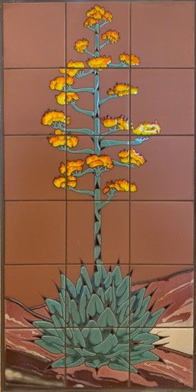Century Plant on TC