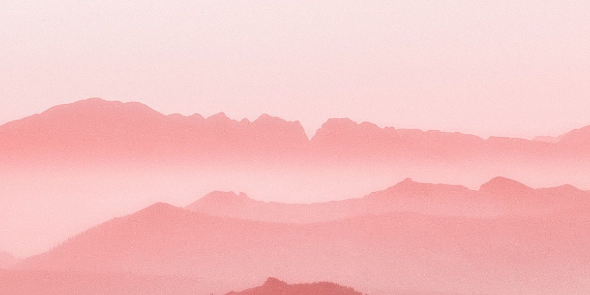 Bilingual Customer Support Representative