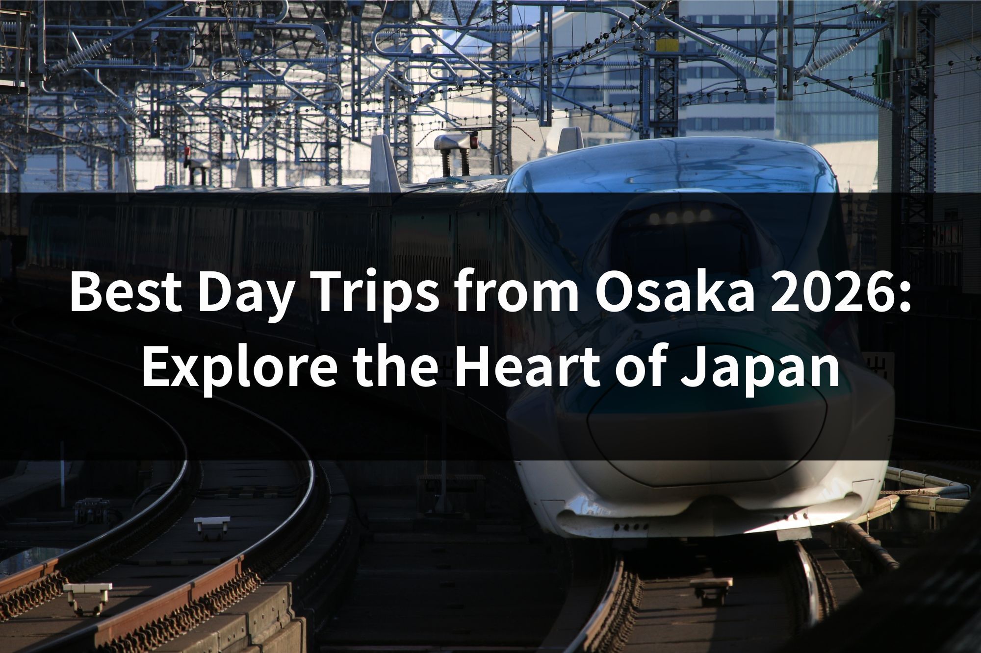 Best Day Trips from Osaka 2026: Explore the Heart of Japan